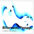 Bittersweet Passage - U Drive Me Crazy (Haiiro Radio Cut)