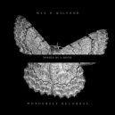 Max D Milford - Tossed by a moth