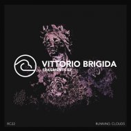 Vittorio Brigida - In The Dark