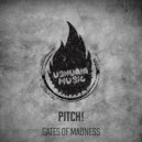 Pitch! - Lovers (Original Mix)