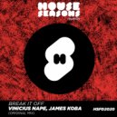 Vinicius Nape & James Koba - Break It Off
