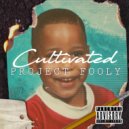 Project Fooly - Misunderstood
