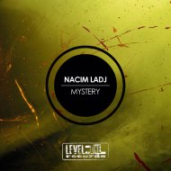 Nacim Ladj - Visitors
