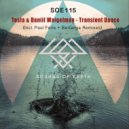 Tesla  &  Daniil Waigelman  - Transient Dancer