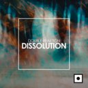 Double Reaktion - Dissolution