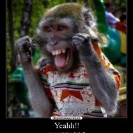 No Data - Yeahh