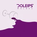 Doleips - 4 a Night (Original Mix)