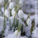VAO - Spring Awakening ()