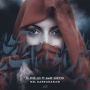 DJ Phellix - Del Barnakanam Feat. Amir Sheykh