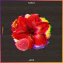 Flapjax - Above (Original Mix)