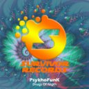 PsykhoFunK - Unlock (Original Mix)