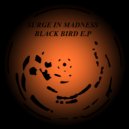 Surge In Madness - Fox (Original mix)