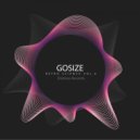 Gosize - Retro Science Vol.6