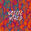 Gosize - Wired (Original Mix)