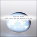 Music Therapy Slow Life Selection - Schedule & Safety (Original Mix)