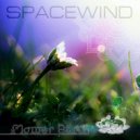 Spacewind - Flower Birth (Original Mix)