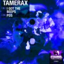 Tamerax - PDS (Original Mix)