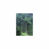 Mindfulness Healing BGM Project - Rotation & Sensitivity