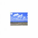 Mindfulness Healing BGM Project - June & Positive Thinking (Original Mix)