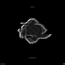 Wlack - Quasar