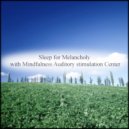 Mindfulness Auditory Stimulation Center - Fluid & Hearing (Original Mix)