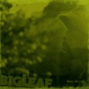 Big Leaf feat. C Boogie, Buddha Stretch - Kick It (Original Mix)