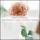 Mindfulness Auditory Stimulation Laboratory - Power & Anxiety (Original Mix)