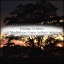 Mindfulness Neuro Feedback Selection - Kepler & Sleep
