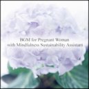 Mindfulness Sustainability Assistant - Asphalt & Stress Free (Original Mix)