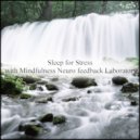 Mindfulness Neuro Feedback Laboratory - Map & Self Pleasure (Original Mix)