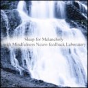 Mindfulness Neuro Feedback Laboratory - Wish & Freedom (Original Mix)