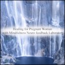 Mindfulness Neuro Feedback Laboratory - Orion & Self Pleasure (Original Mix)