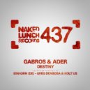 Gabros & Ader - Destiny