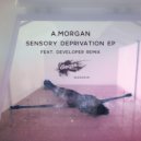 A.Morgan - Fractures