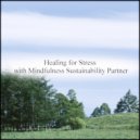 Mindfulness Sustainability Partner - Granite & Contingency Map (Original Mix)