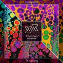 Ironpaul - Tripping
