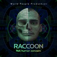 Raccoon - Carvature