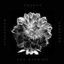 Aryozo - The burning