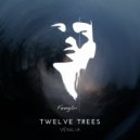 Twelve Trees - Vénilia (Original Mix)