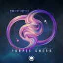 ProJect Aspect - Purple Sherb (Original Mix)