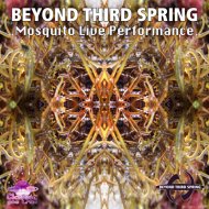 Beyond Third Spring - Never Ending