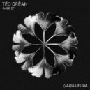 Téo Dréan - 3x500
