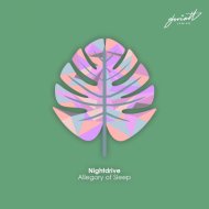 Nightdrive - Touch Dream