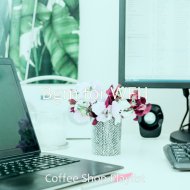 Coffee Shop Playlist - Modern Ambience for WFH