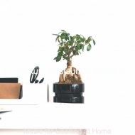 Luxury Restaurant Music - Festive Smooth Jazz Guitar - Vibe for Work from Home
