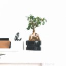 Luxury Restaurant Music - Dream Like Ambiance for Remote Work