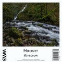 Ninjury Featuring Cima - Danger Zone (Radio Mix 3)