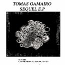 Tomas Gamairo - Acid Damage (Original mix)