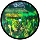 PAWSA - GOING TO THE PARK