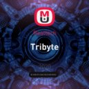 Realtech - Tribyte ()